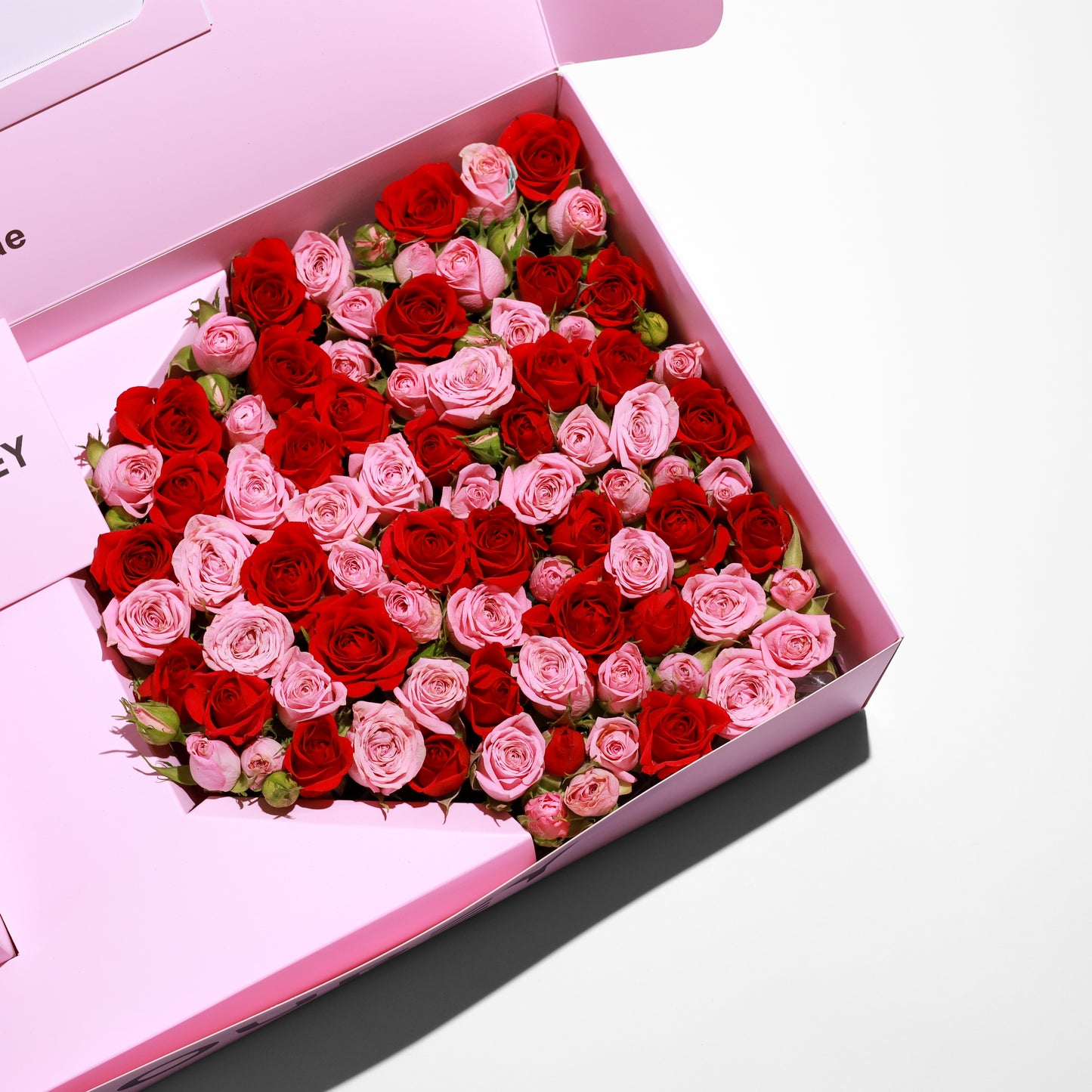 Flourey Box with Lianne and Red Baby Rose