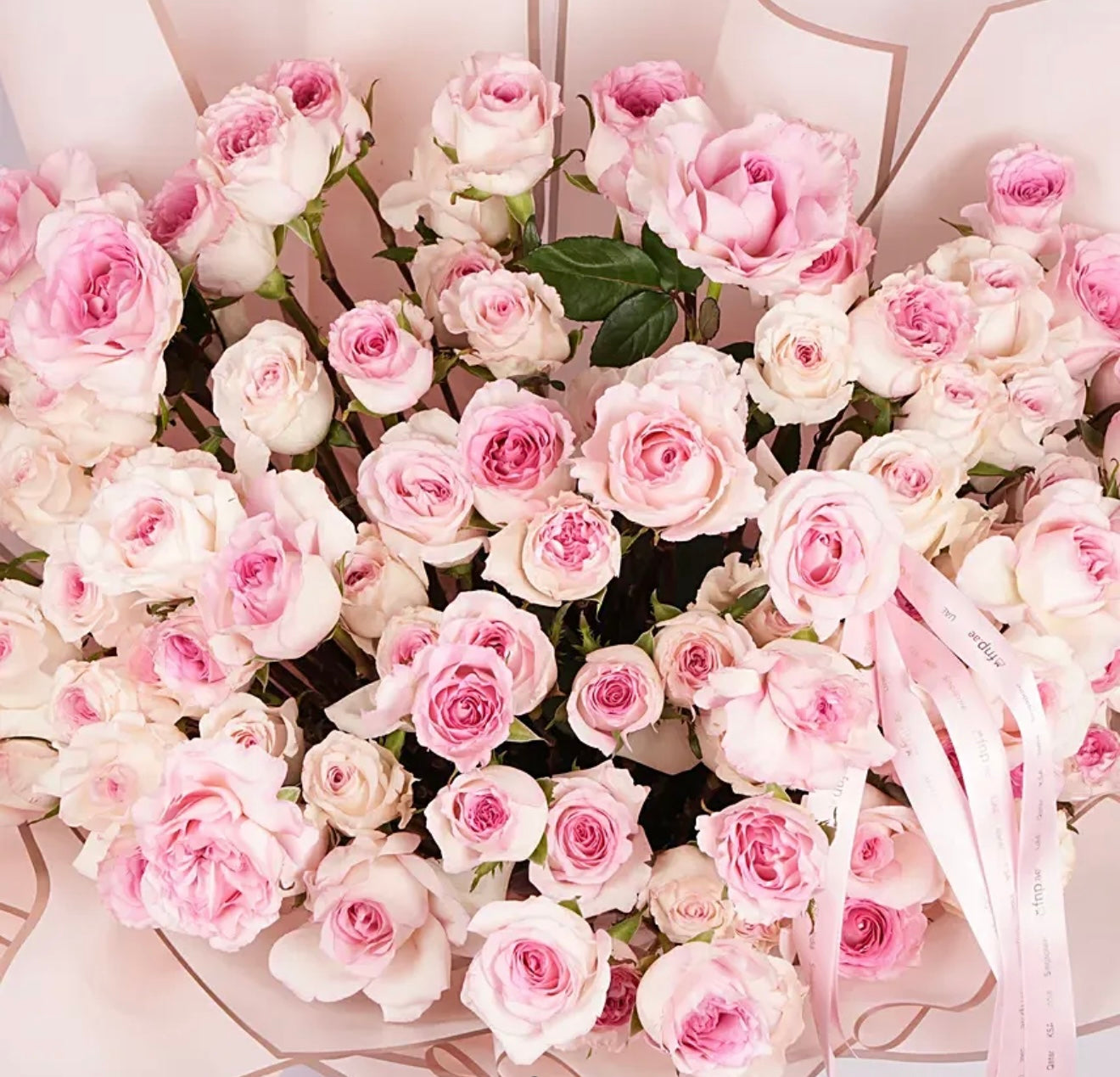 100 Pink Roses Bouquet