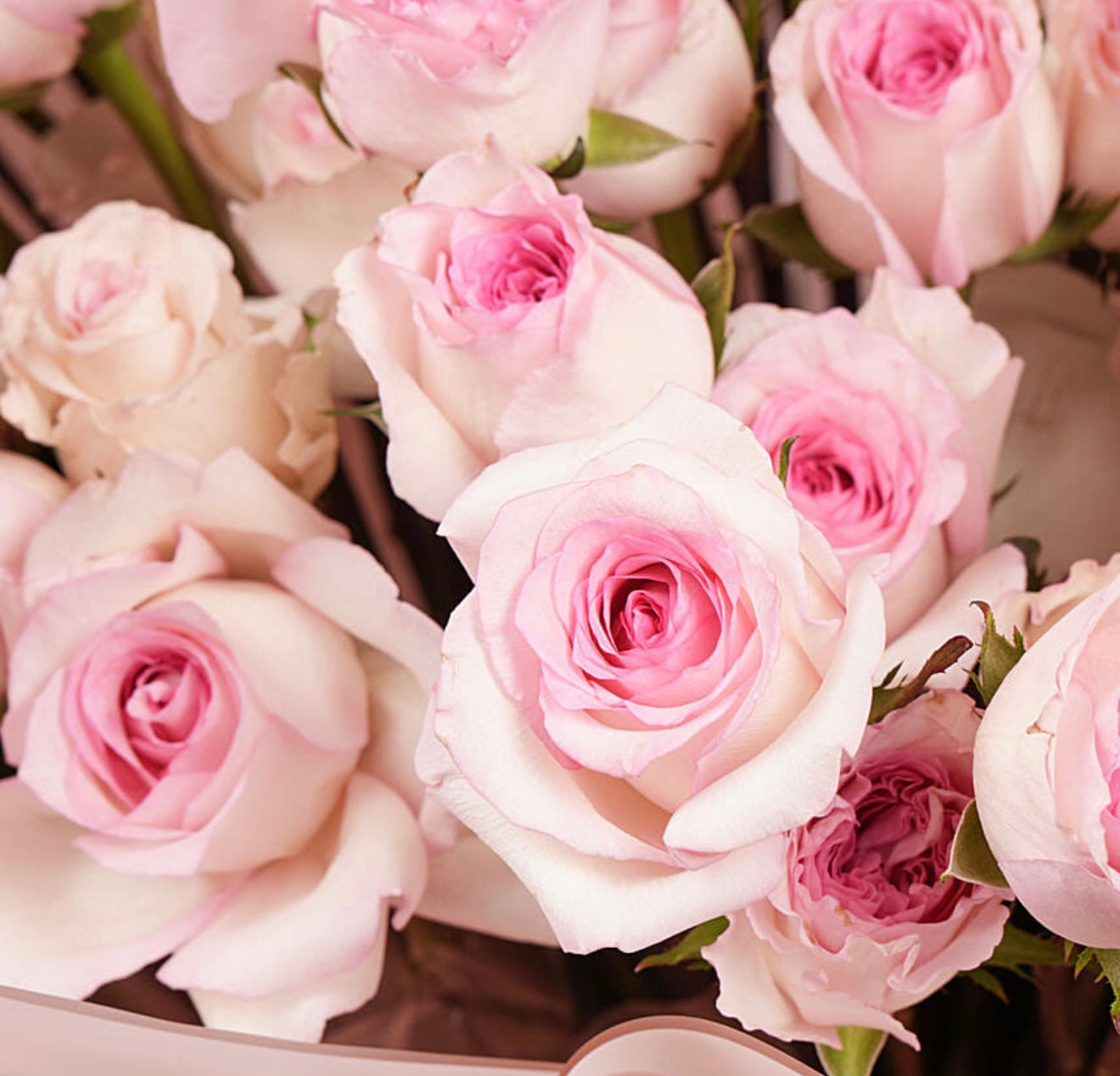 100 Pink Roses Bouquet