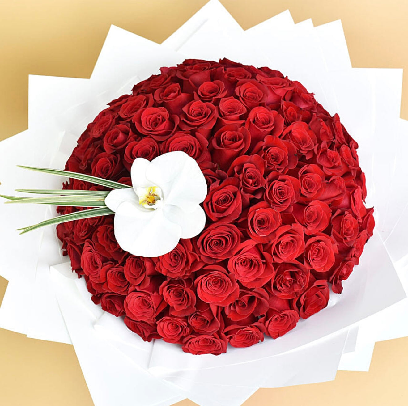 100 Red Roses Bouquet with White Wrapping