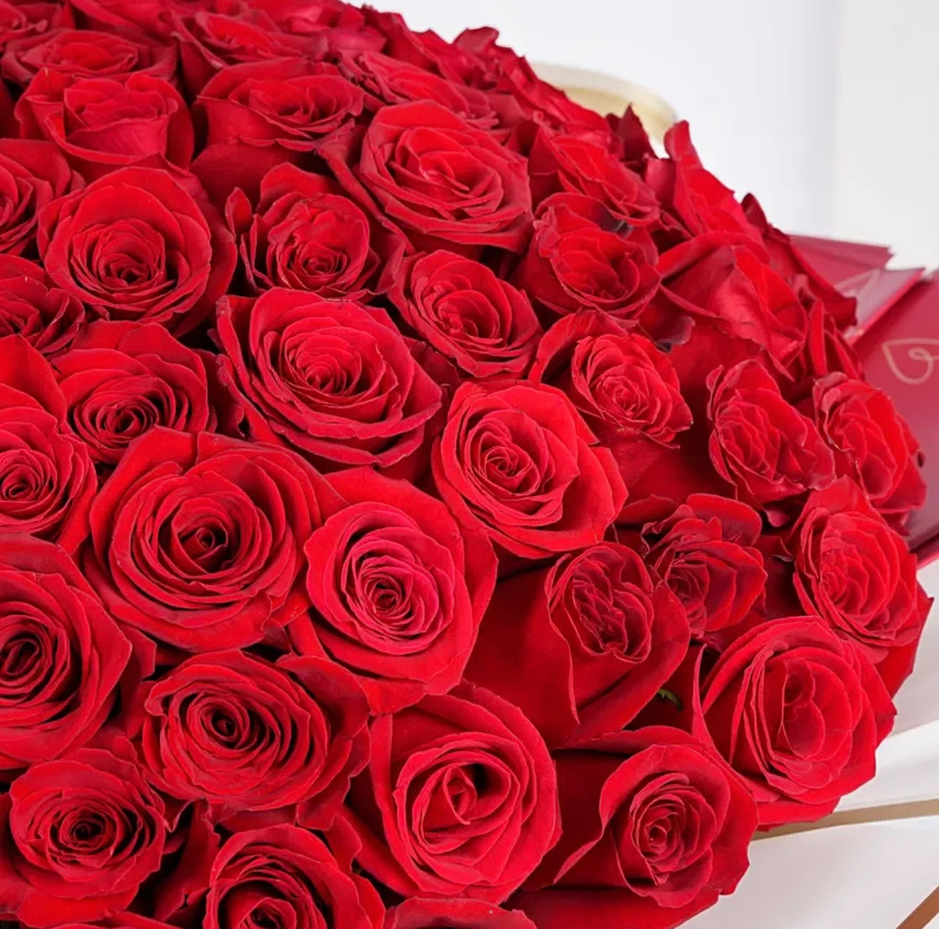 100 Red Roses Bouquet with Transparent Wrapping