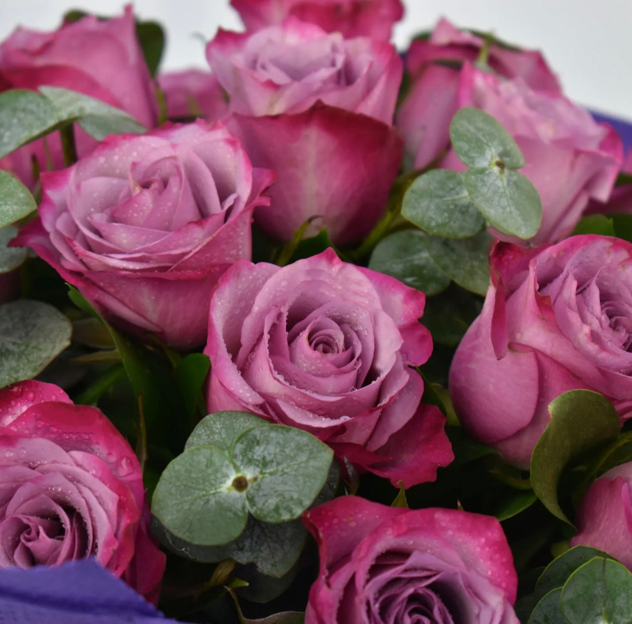 Purple Roses Bouquet